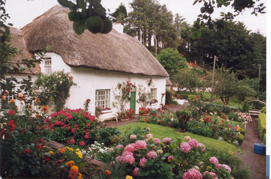 cove cottage, a national award winning thatched cottage