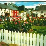 Stradbally village green, July 1996